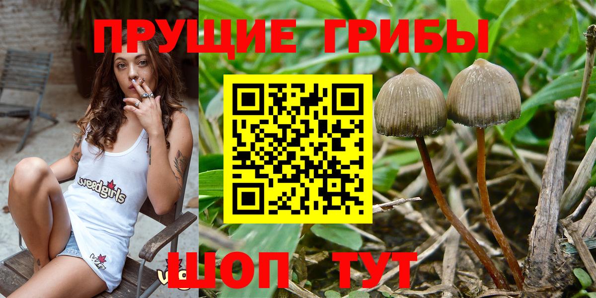 дарнет шоп  Галлюциногенные грибы Cubensis  Вход с VPN  Печора 