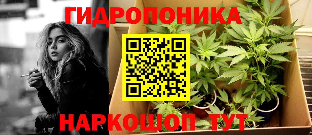 Конопля план  Канабис ГИДРОПОН  Печора  Вход с VPN  Канабис White Widow 